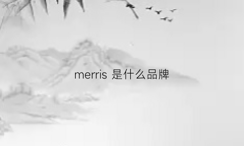 merris是什么品牌(melisse是啥品牌)